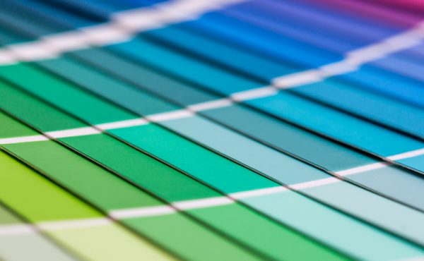 The Color of Success